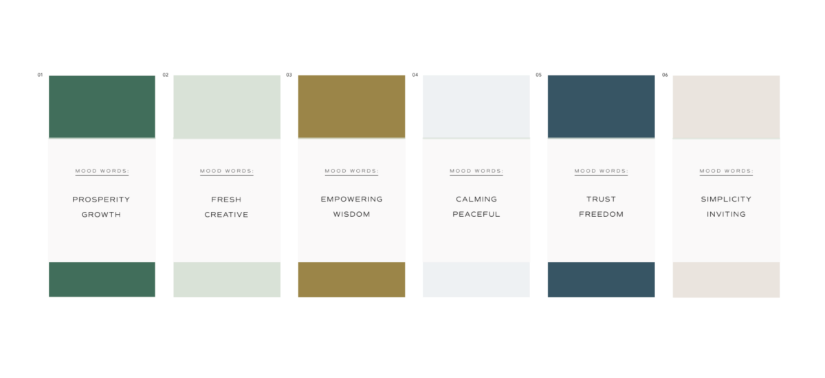 Fresh, innovative, and stimulating color palette to stand out in the industry as an accounting firm